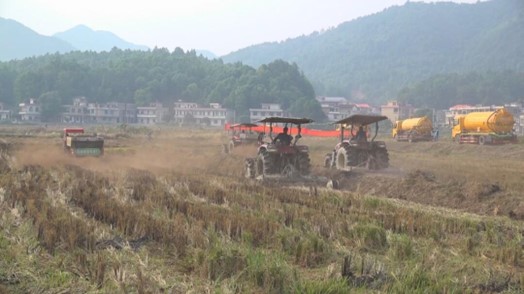 华山村油菜堆肥还田和水肥还田作业现场2