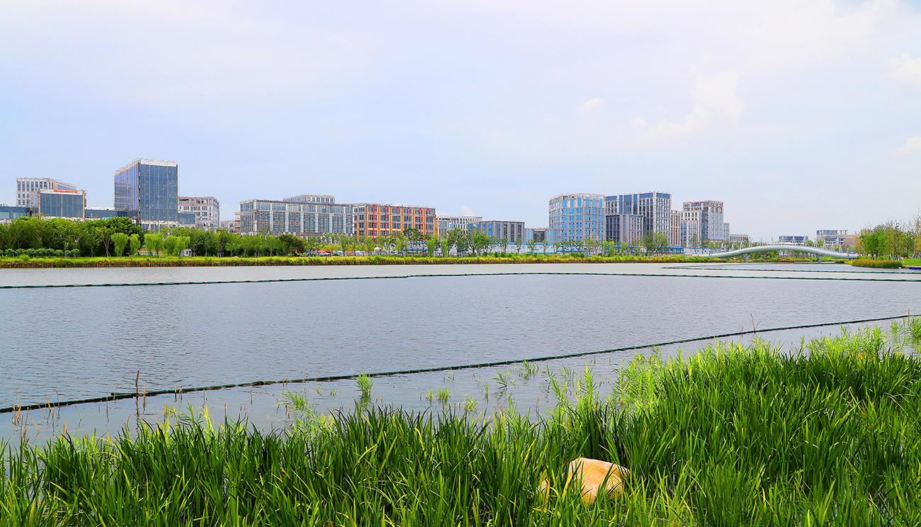 青浦区金泽镇华为青浦研发中心。