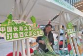 打造百億菜心產業！2023年連州菜心走進大灣區（廣州）系列推介活動啟動