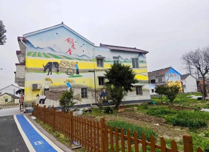 松江石湖荡镇人居环境持续提升 “菜园变靓 道路更新”