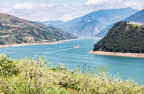  日前，在三峡库区腹心的重庆市巫山县曲尺乡，长江两岸两万余亩李花次第绽放，呈现长江三峡靓丽的春景画卷。新华社