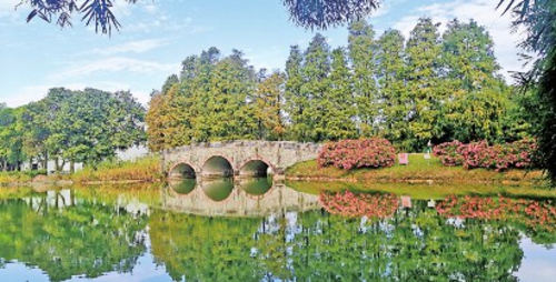  华南国家植物园园景。文香英/供图