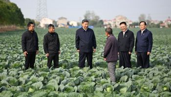 习近平在湖北考察调研