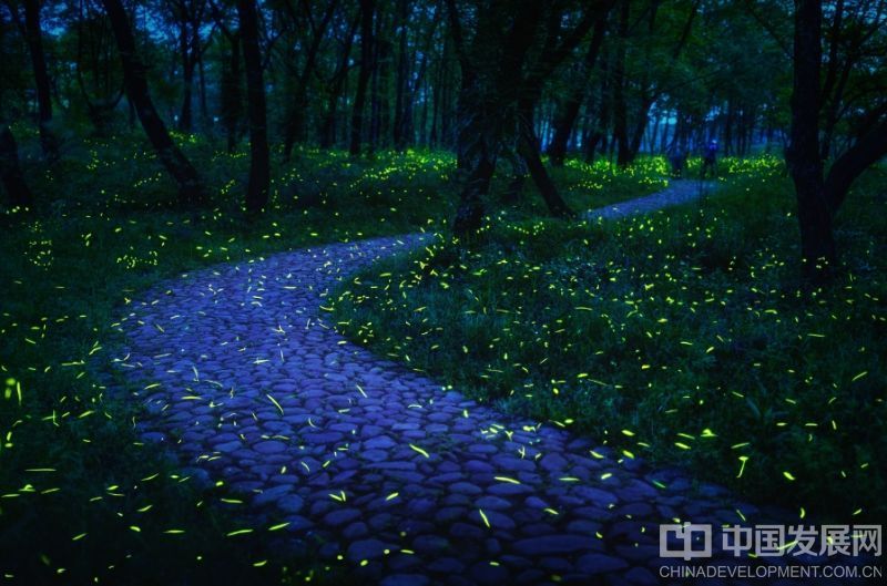 “开启体旅融合发展新篇章”  浙江丽水莲都荣获“国字号”体育旅游路线