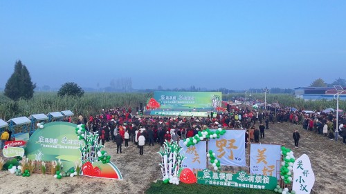 微信图片_20241129145921
