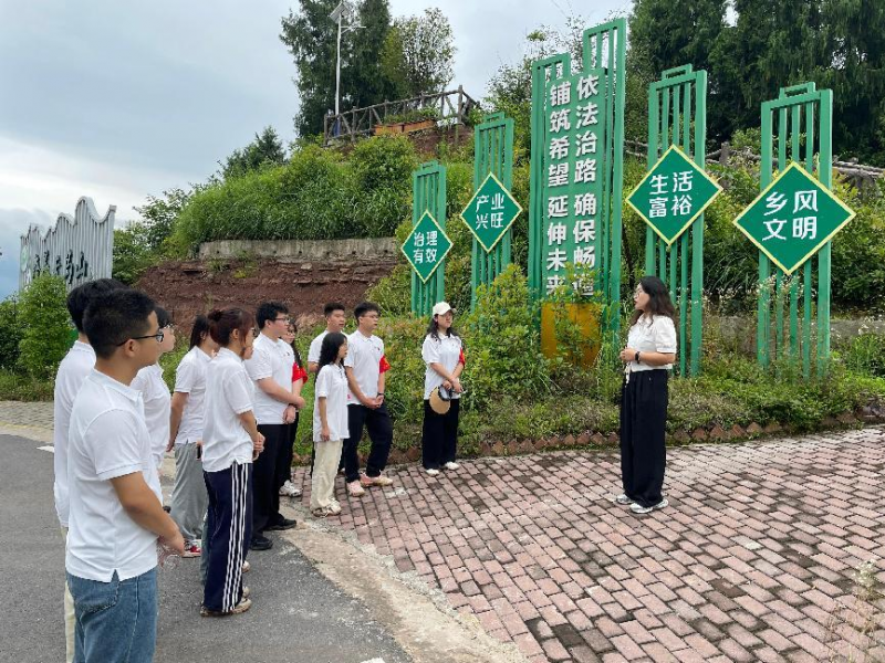 图片5