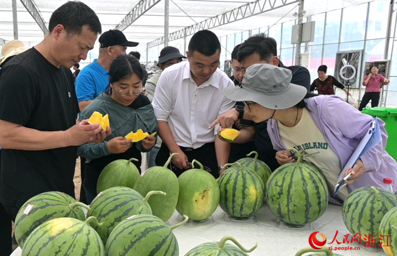 今年5月，专家对科创园培育的各类西瓜品质进行测评。人民网 章勇涛摄