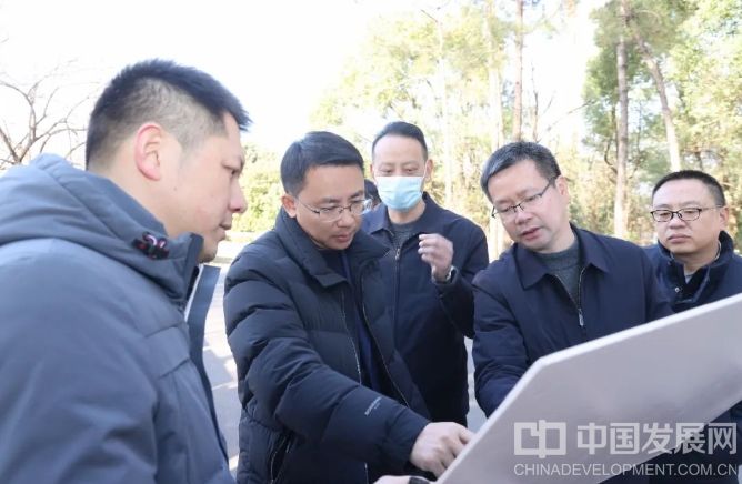 微信截图_20250209142900