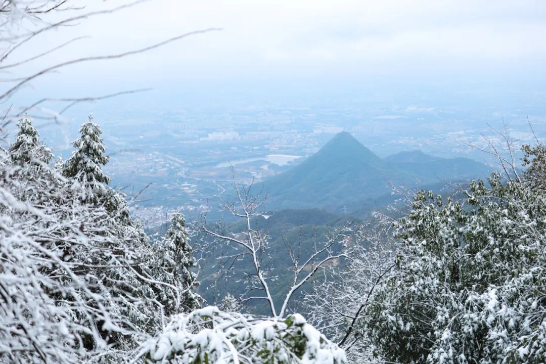 婉约江南与莽莽雪原只相差一座“金华山”