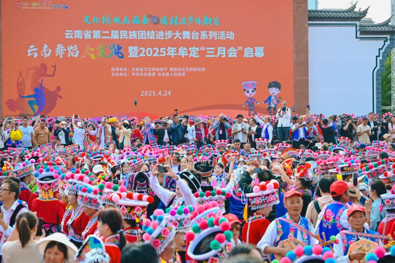 图片5