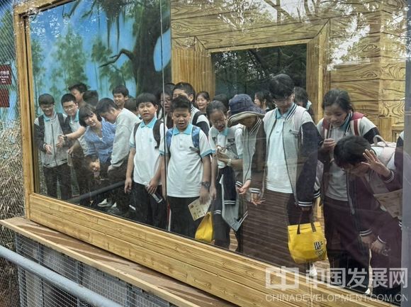 微信截图_20250426111533