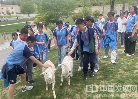微信截图_20250428115751