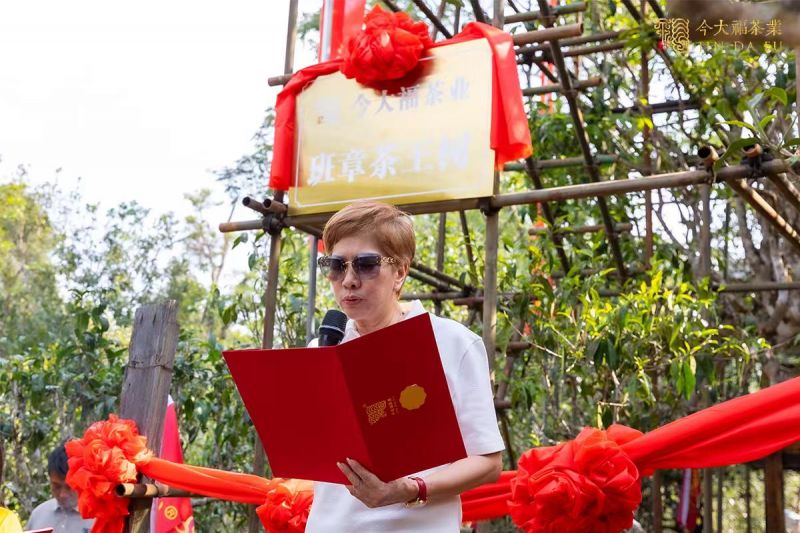 图片7