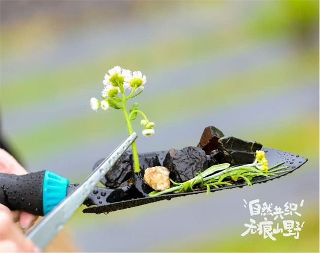 图片9.jpg