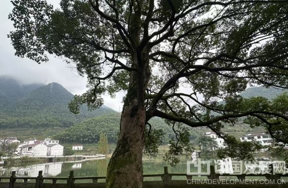 微信截图_20250503103645