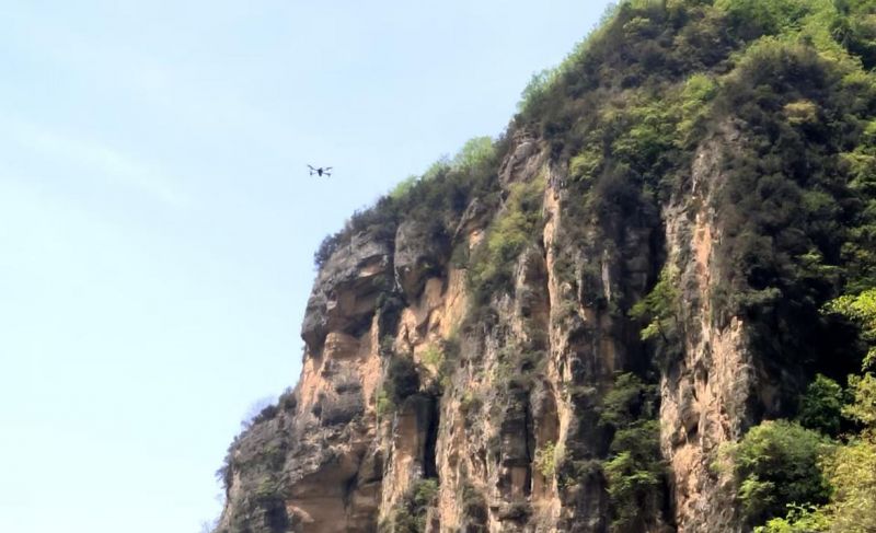 图片10