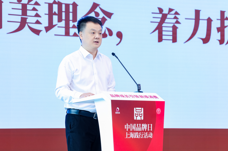 图片13