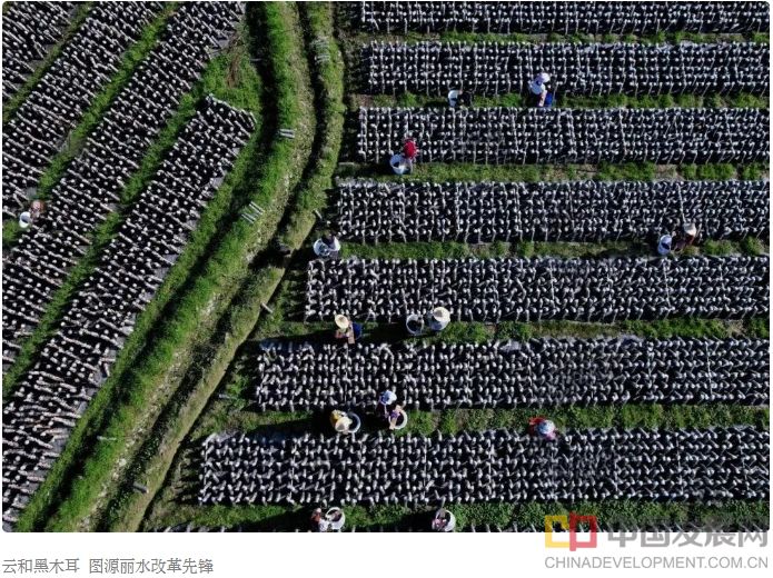 微信截图_20250514154341