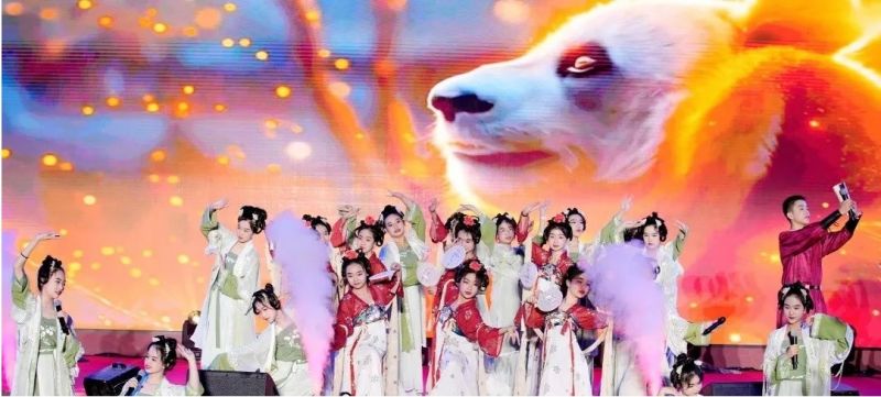 图片6