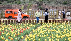 乡村旅游公路 让小山村走上“致富振兴路”