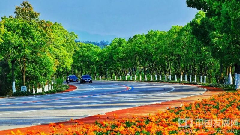 “邂逅诗意与感动”浙江金华武义入选“2025全国县域自驾游标杆县”