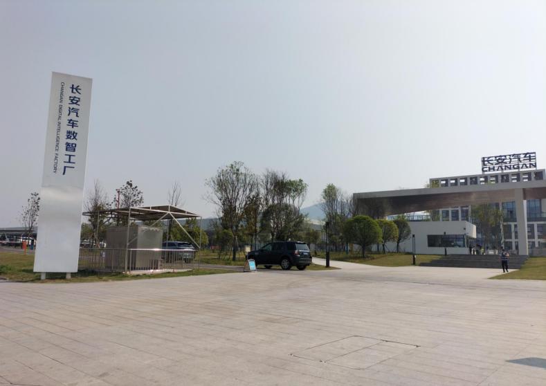 图片6