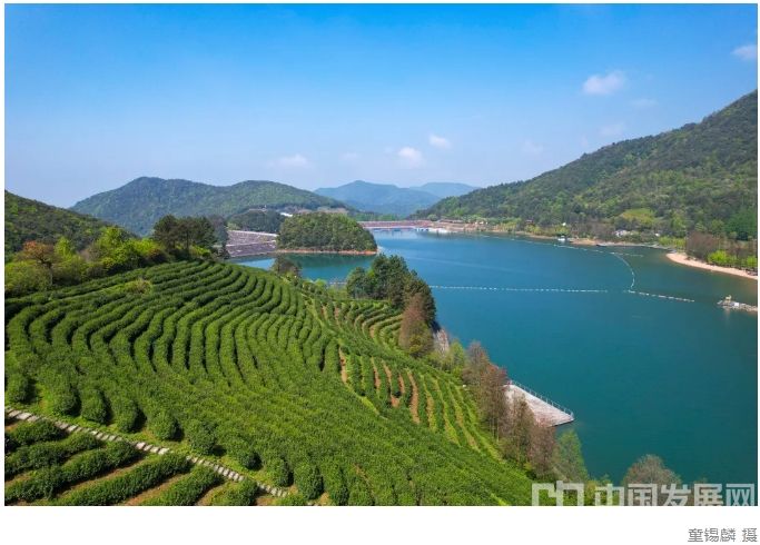 微信截图_20250521104636