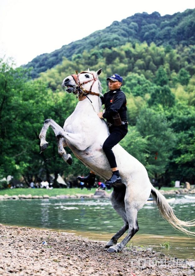 微信截图_20250521110458