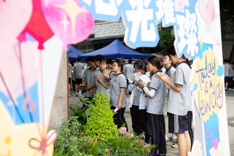 图片11