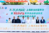 上海市乡村嘉年华暨“柘”里乐享生活活动启动 展现乡村振兴新气象