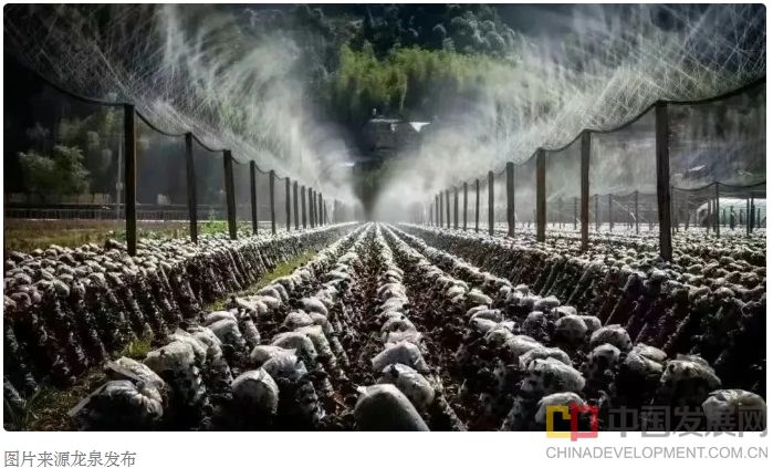 微信截图_20250526095839