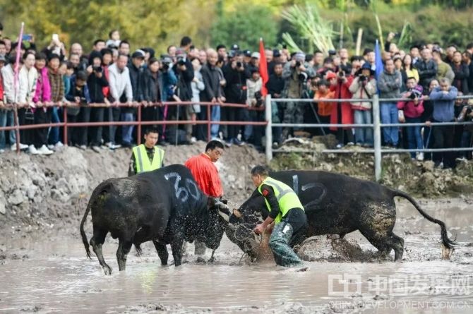 微信截图_20250526114200