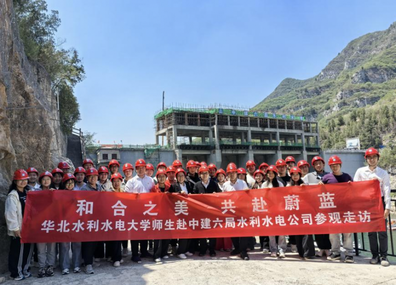 图片6