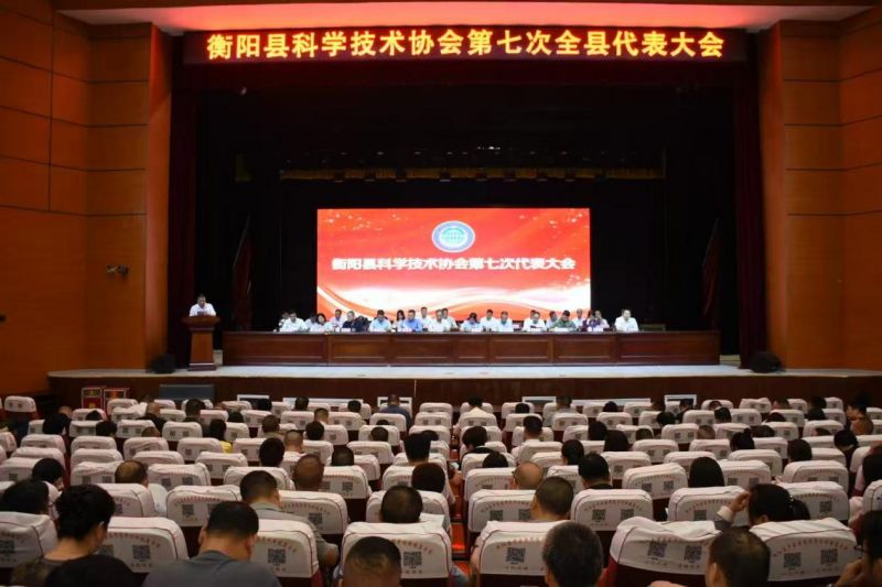 图片10