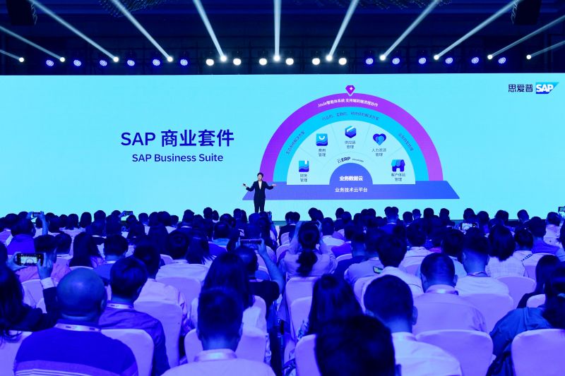 SAP商业套件（Business Suite）