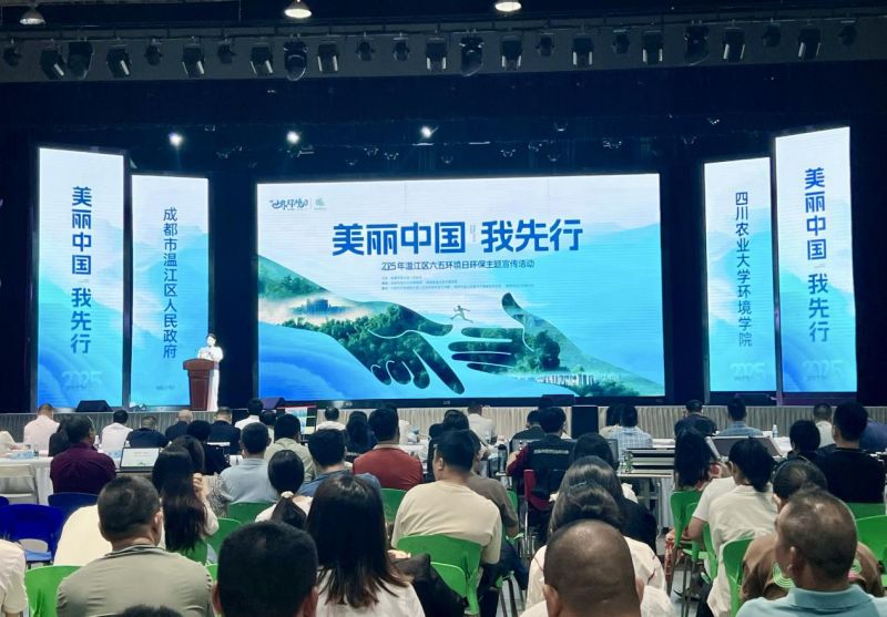 图片13