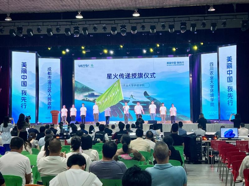 图片16