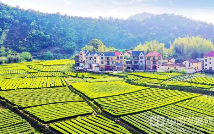 微信截图_20250606152842