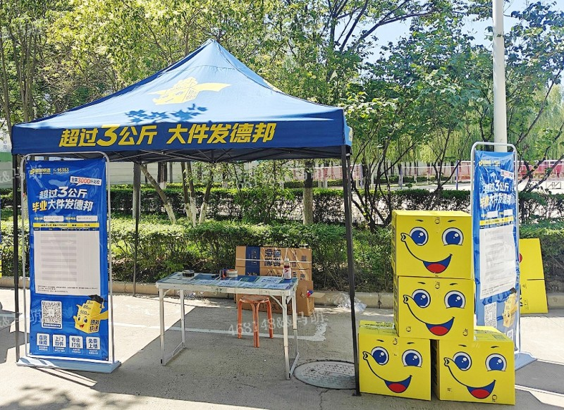图片5