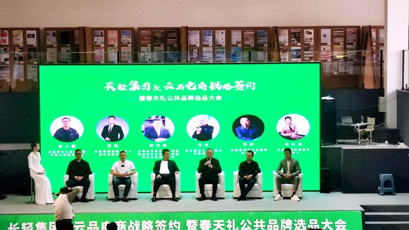 图片8