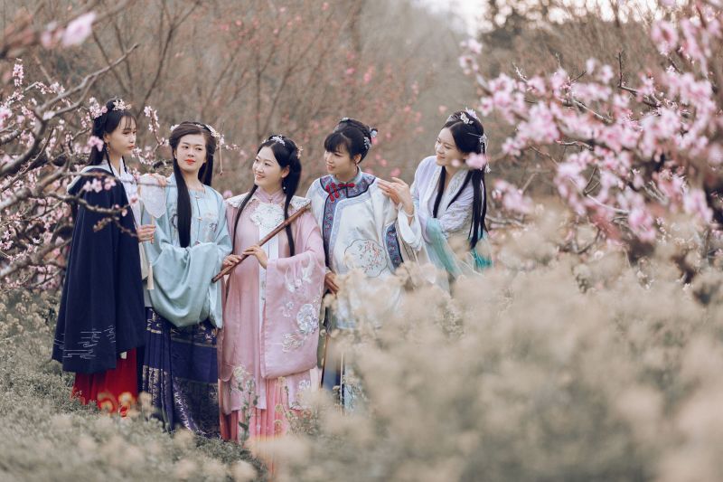 2025第35届上海桃花节