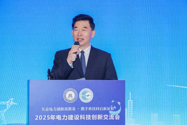 中国电力建设企业协会会长、国际金融论坛能源转型与发展委员会主席王思强发表致辞