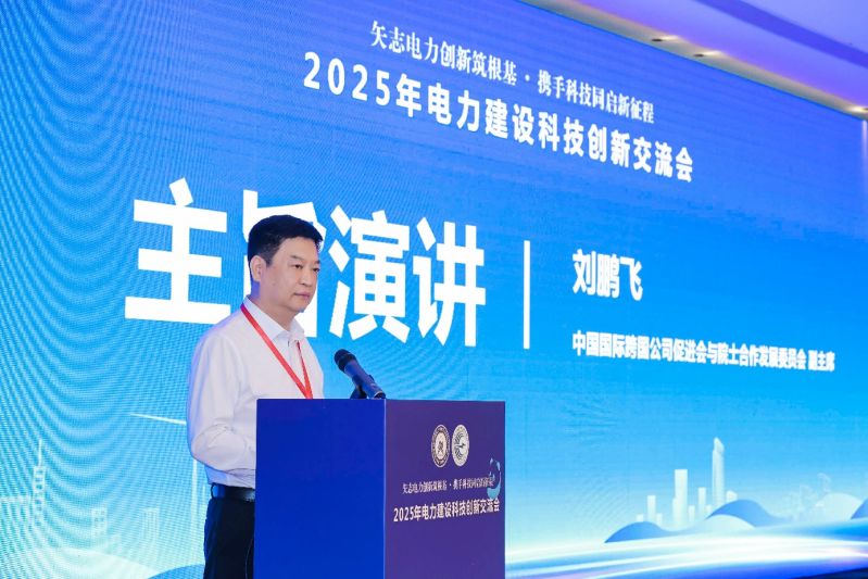 中国国际跨国公司促进会与院士合作发展委员会副主席刘鹏飞作主旨演讲