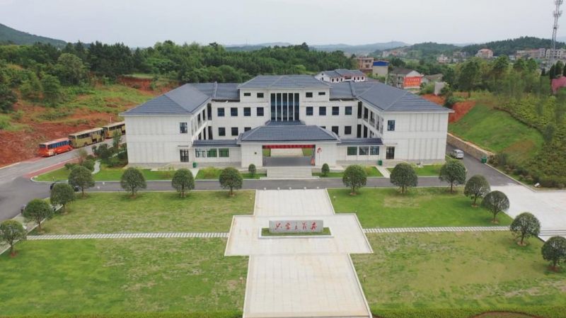 图片10