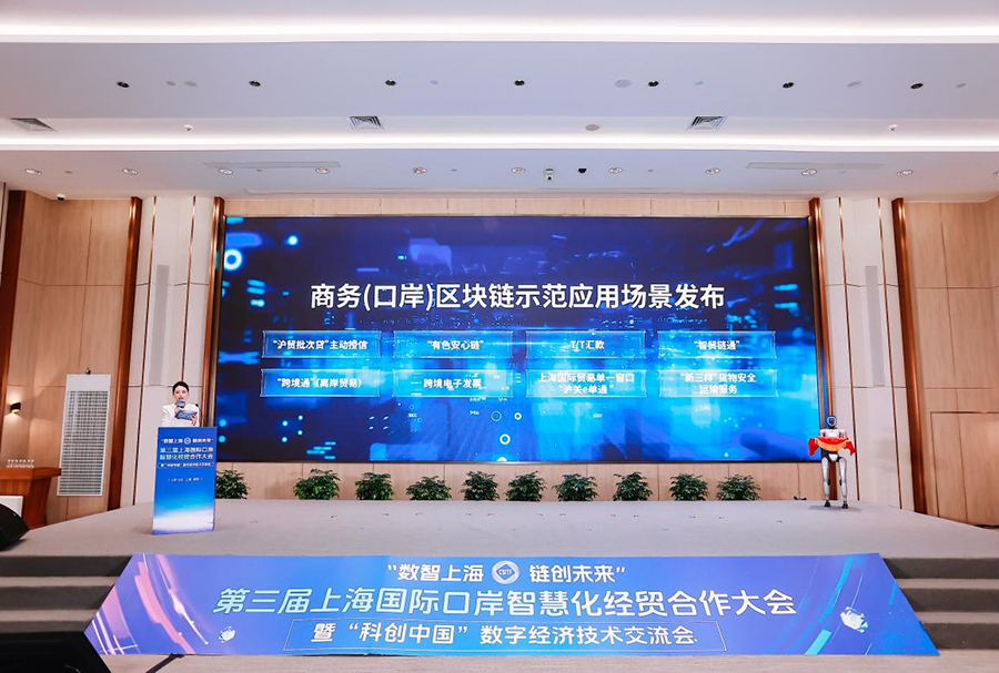 图片3