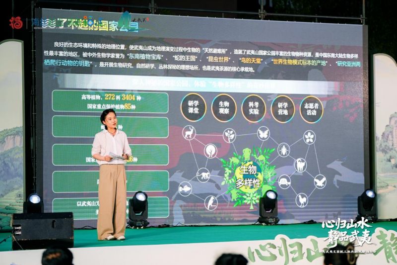 图片8