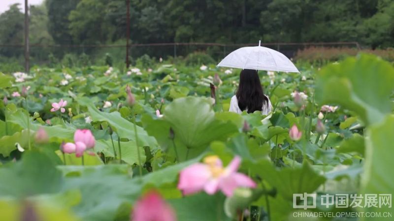 微信图片_20250622154117