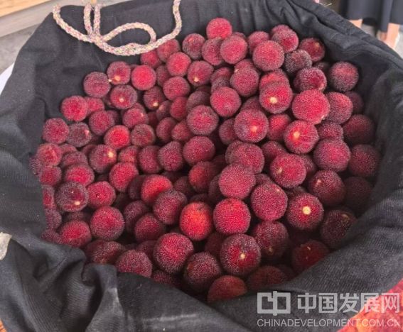 微信截图_20250623121719