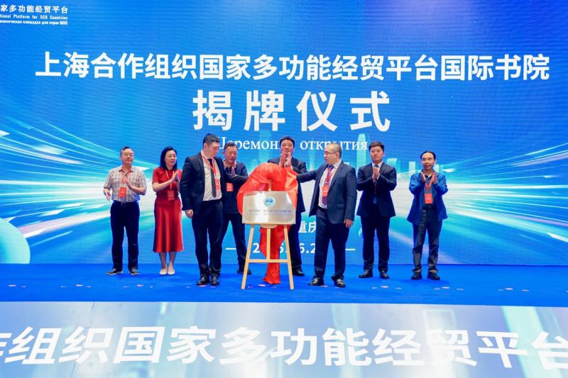 图片7