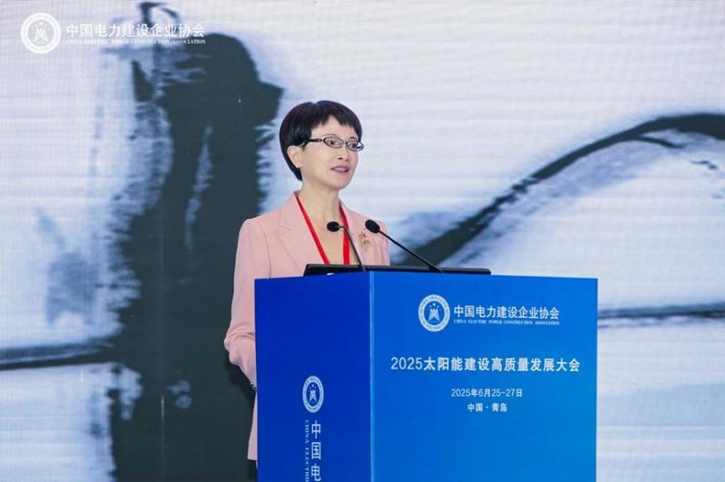 国家能源局科技装备司原副司长刘亚芳作主旨演讲